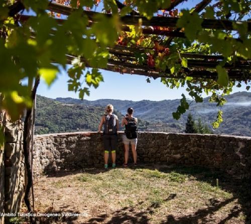 Scopri la Valdinievole: Cosa Vedere, Fare, Dove Mangiare e Sostare con il Camper
