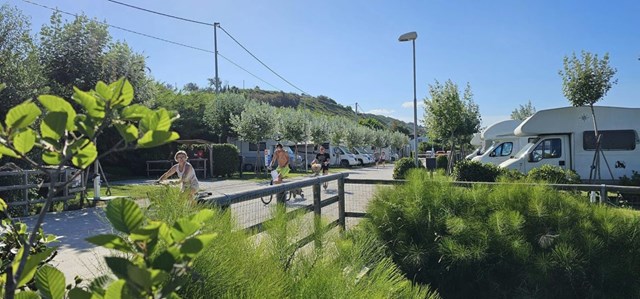 448861814 992466769332976 3672796262367636165 N 1170X547 (01)