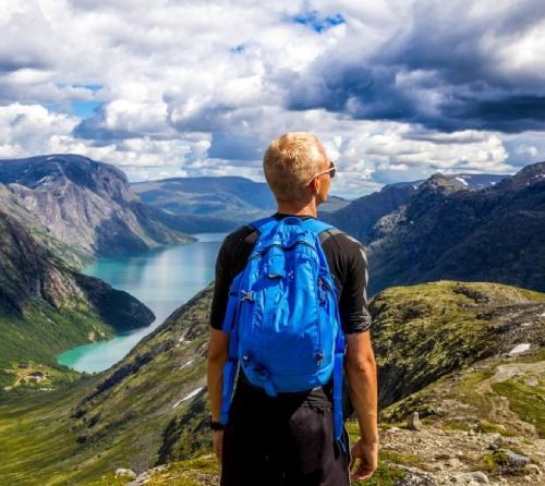 Un Viaggio tra Natura e Sapori nella Valle del Lys