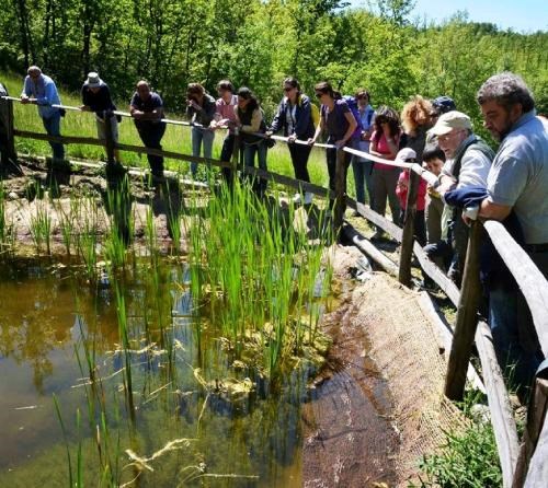 Scopri l’Oasi WWF dei Ghirardi: Una Meta Imperdibile per Camperisti e Caravanisti